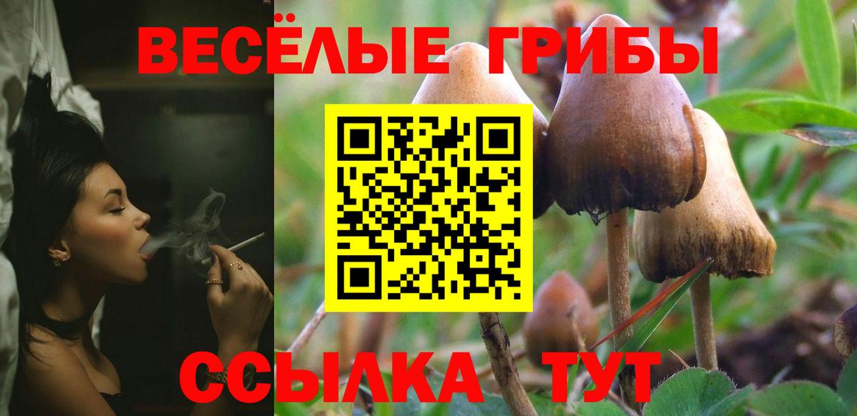 Псилоцибиновые грибы GOLDEN TEACHER Новокузнецк
