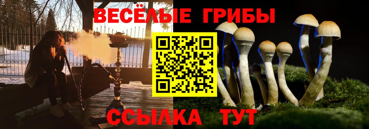 Галлюциногенные грибы ЛСД  Вход с VPN  продажа наркотиков  Новокузнецк 