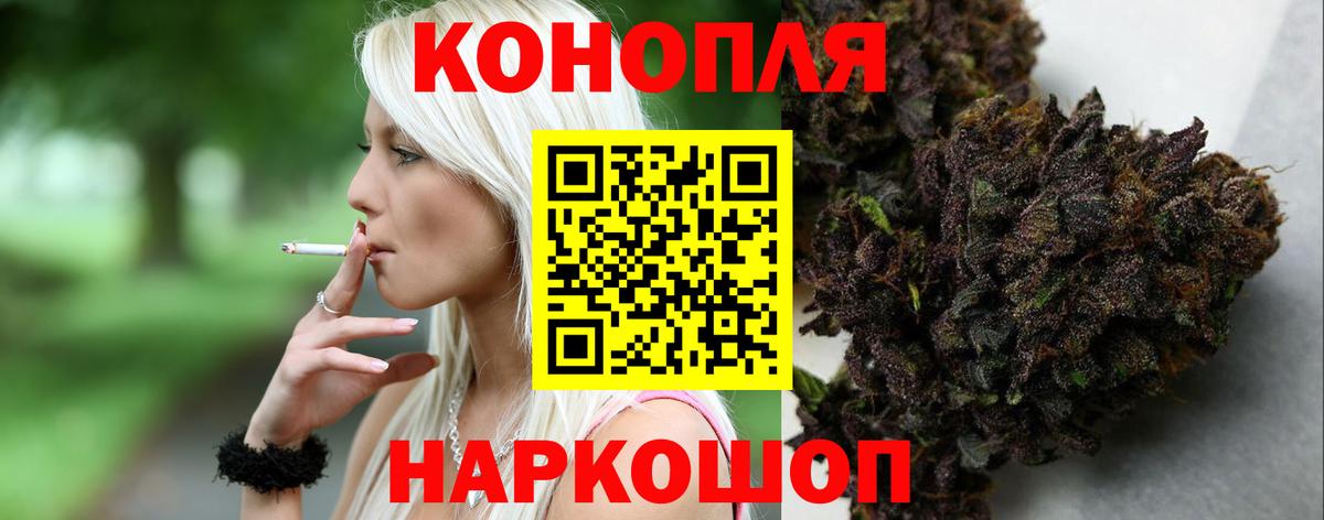 Бошки марихуана планчик  Марихуана VHQ  МАРИХУАНА Amnesia  Новокузнецк  Бошки Шишки план 